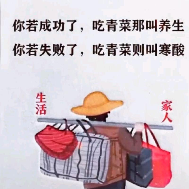 喜气杨🐑