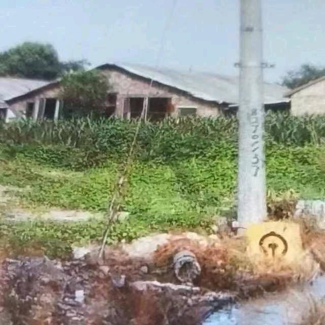 风雨人生，谈然相随