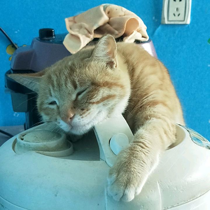 丨夜惑丨