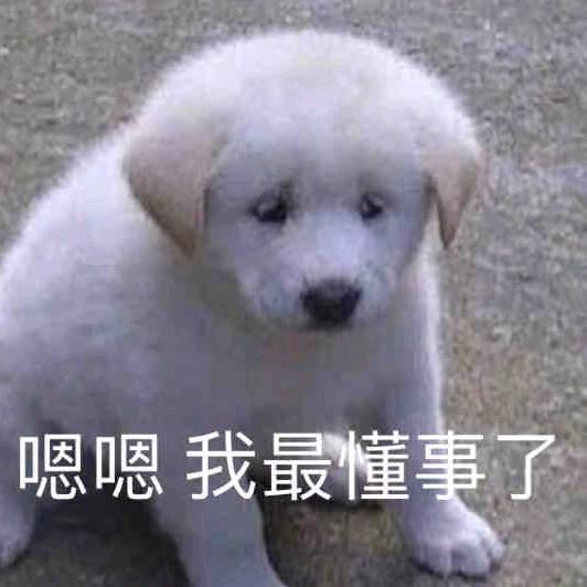 少刷抖音多看书😒