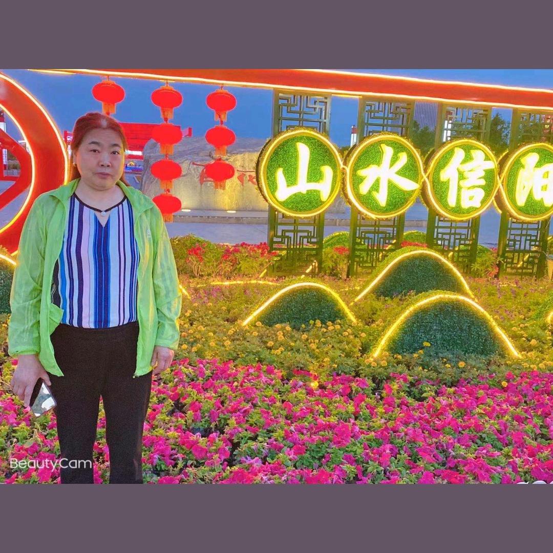 桂虎