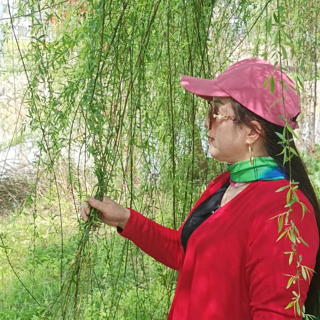 一缕情思，拒觉私聊