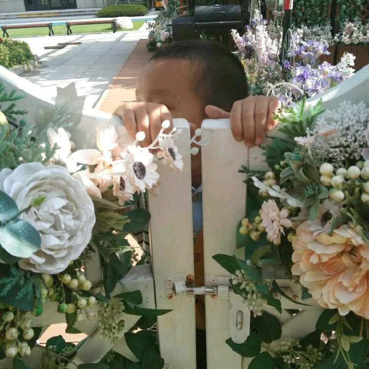 美丽的人生