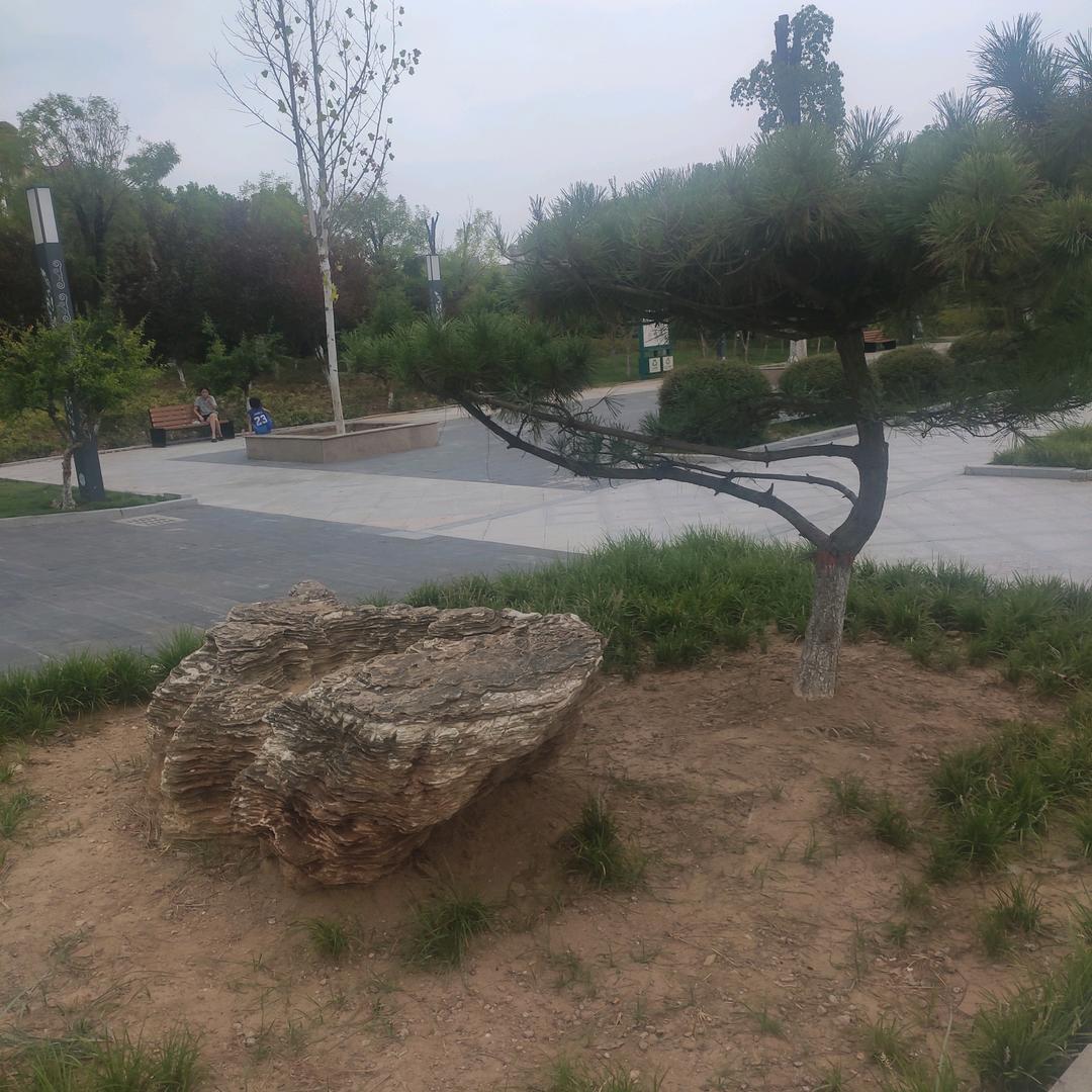BeiBingYang
