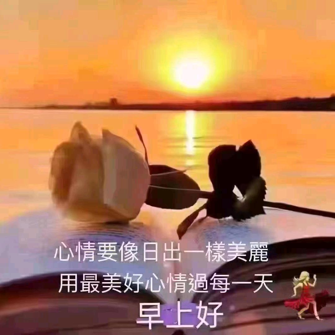 星月相依