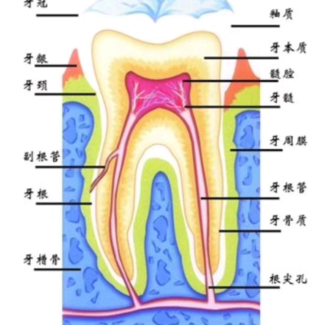 珍惜缘份，牙痛找我