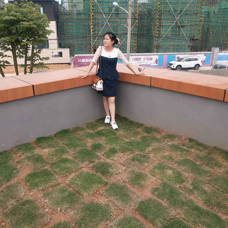 蓝甜梦