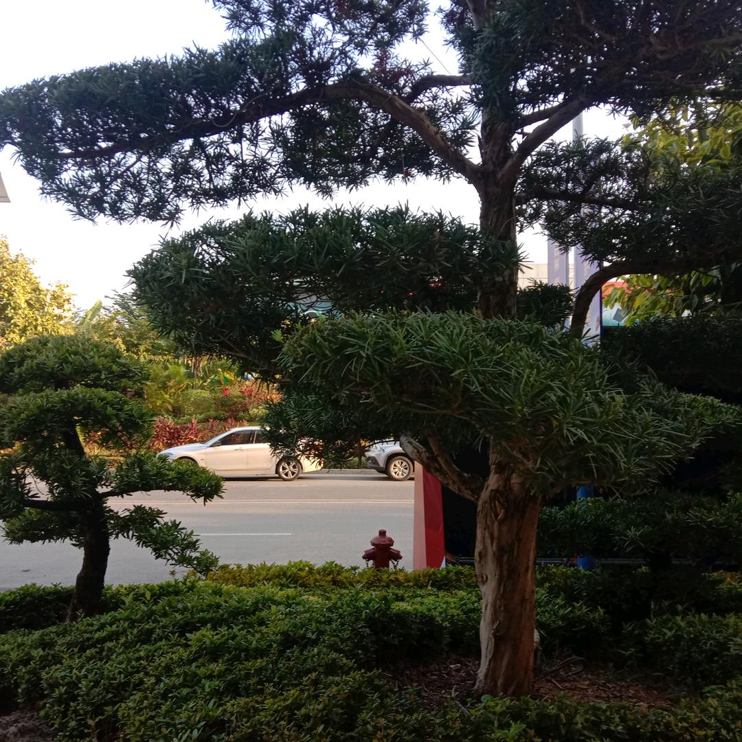 用户1474846452969