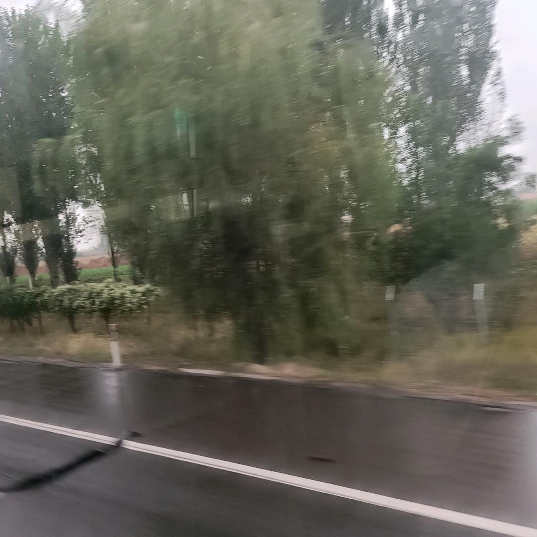 舍不去的情