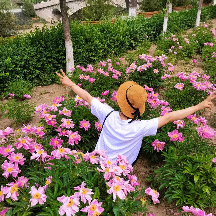 🌺遂平县德国马牌轮胎🌺