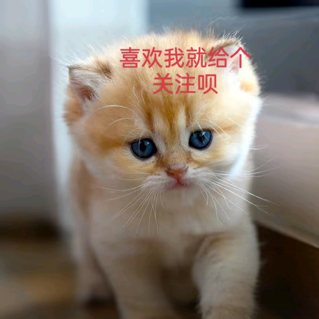 三十八杜🐘