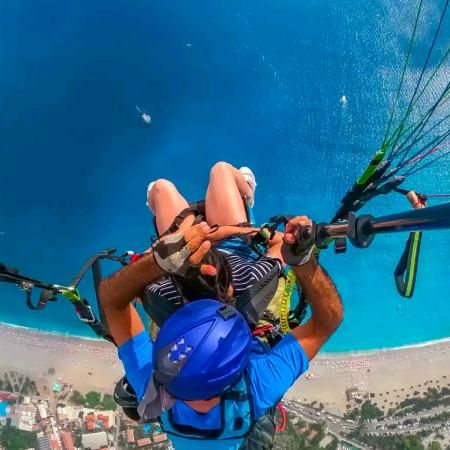 我的女王你的骑士于此参上