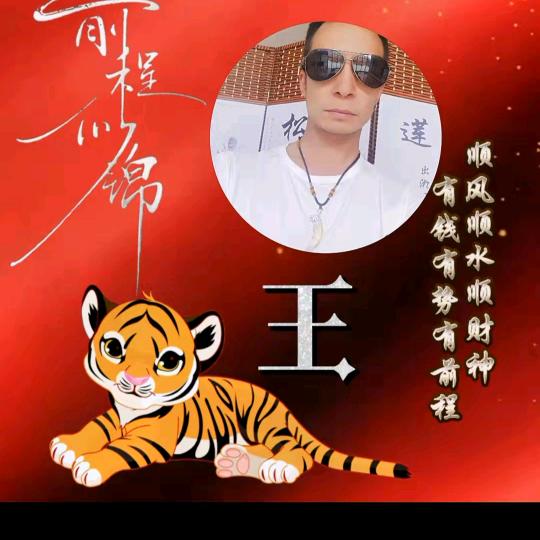猛虎过江