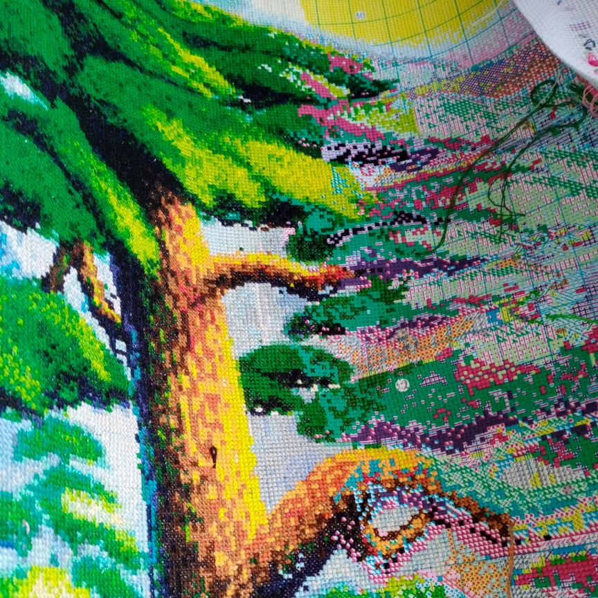 一路走来真的不容易