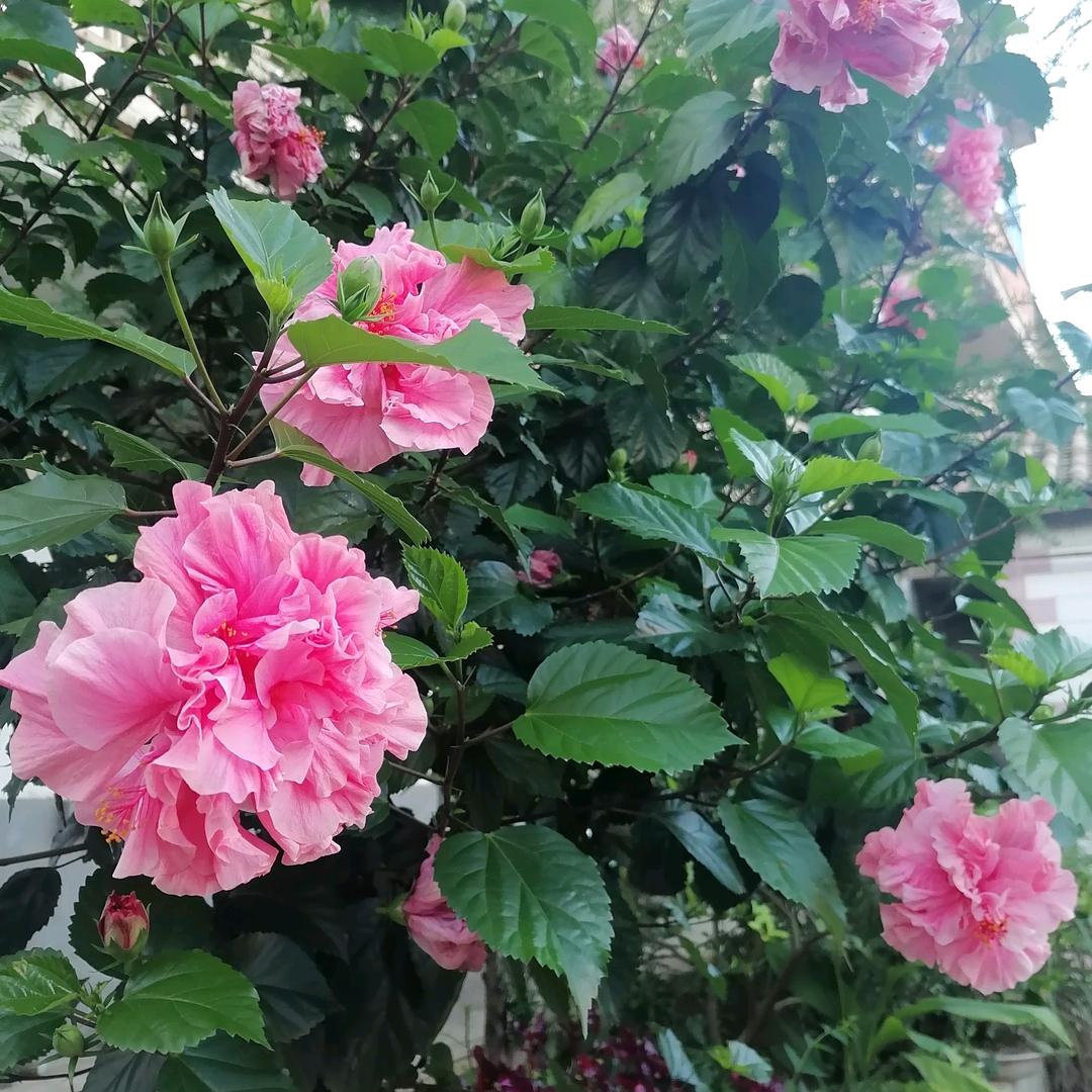 平凡人生
