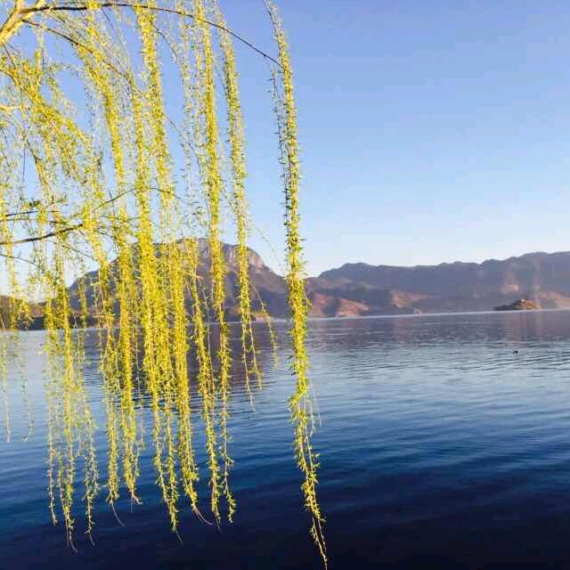 陈家大院