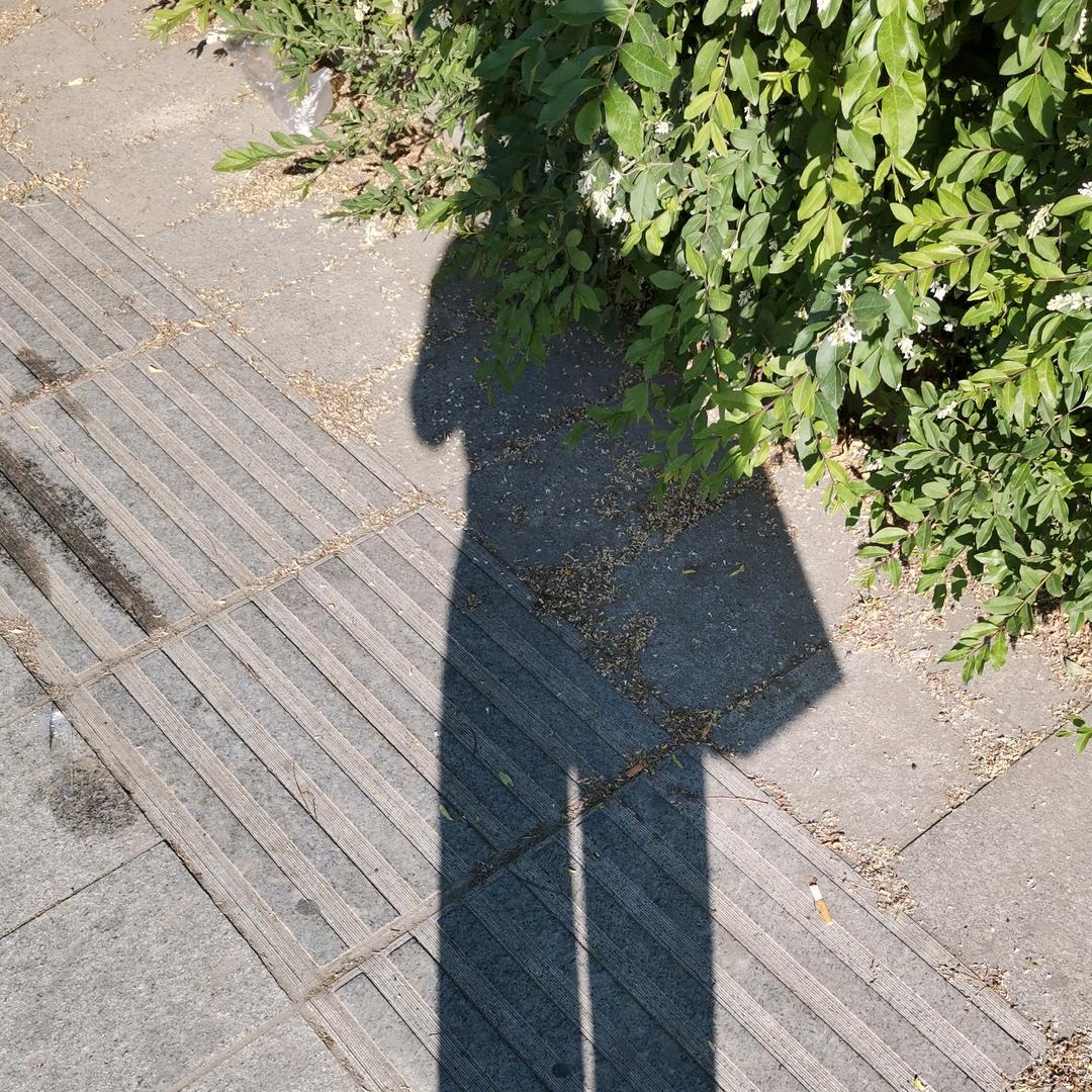 张丹