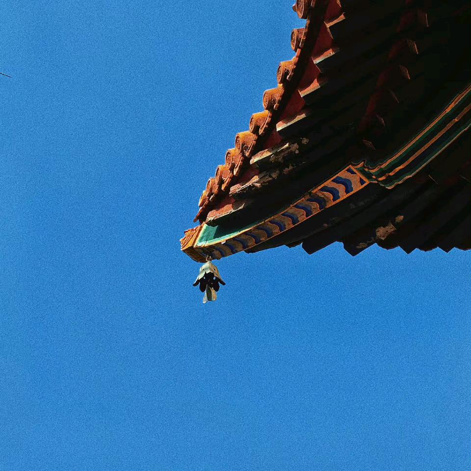 日月明💫