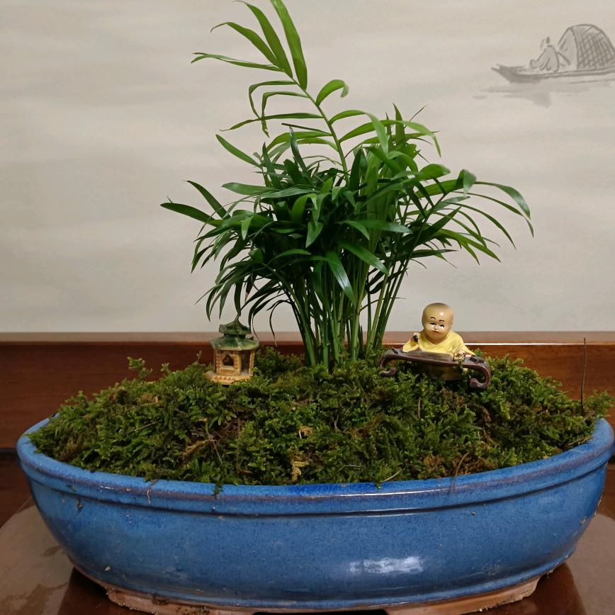 一龙