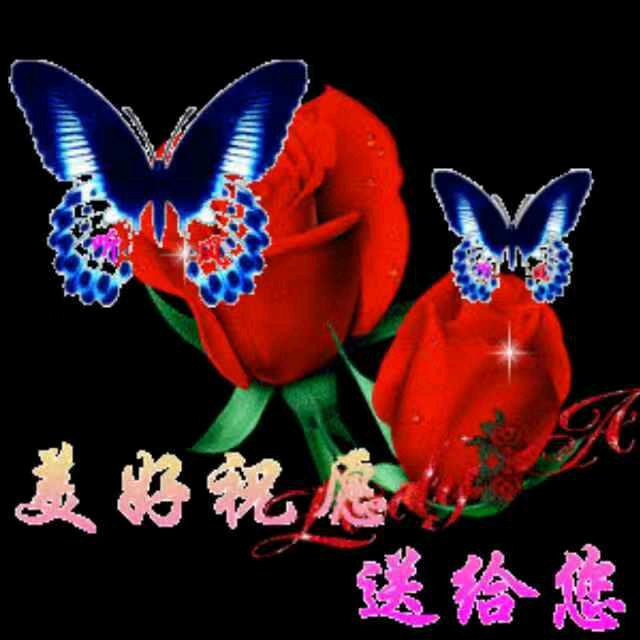 豫如意🌹🌹🌹