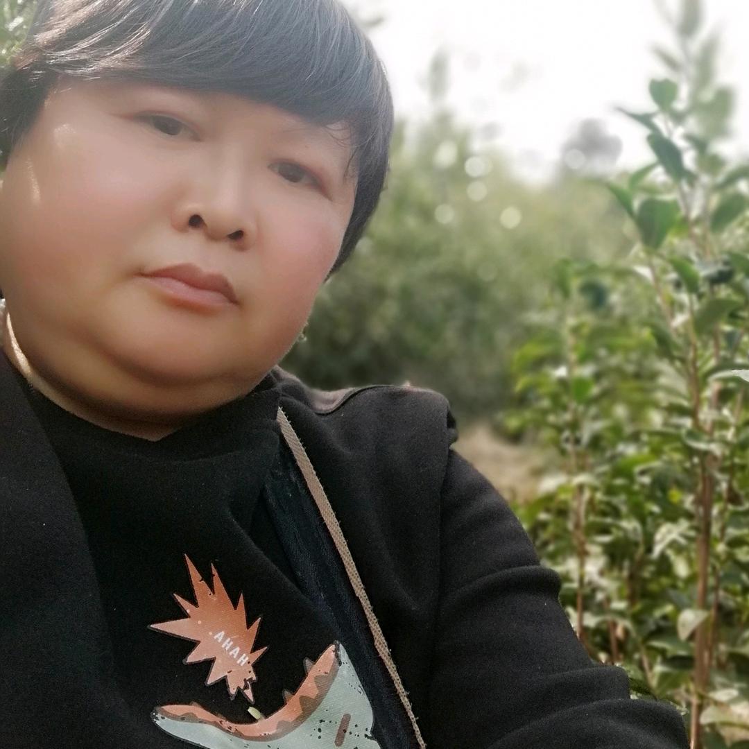 开心果