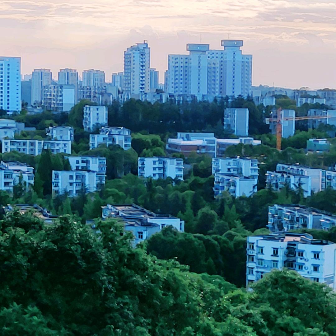 生活在四川的山东人