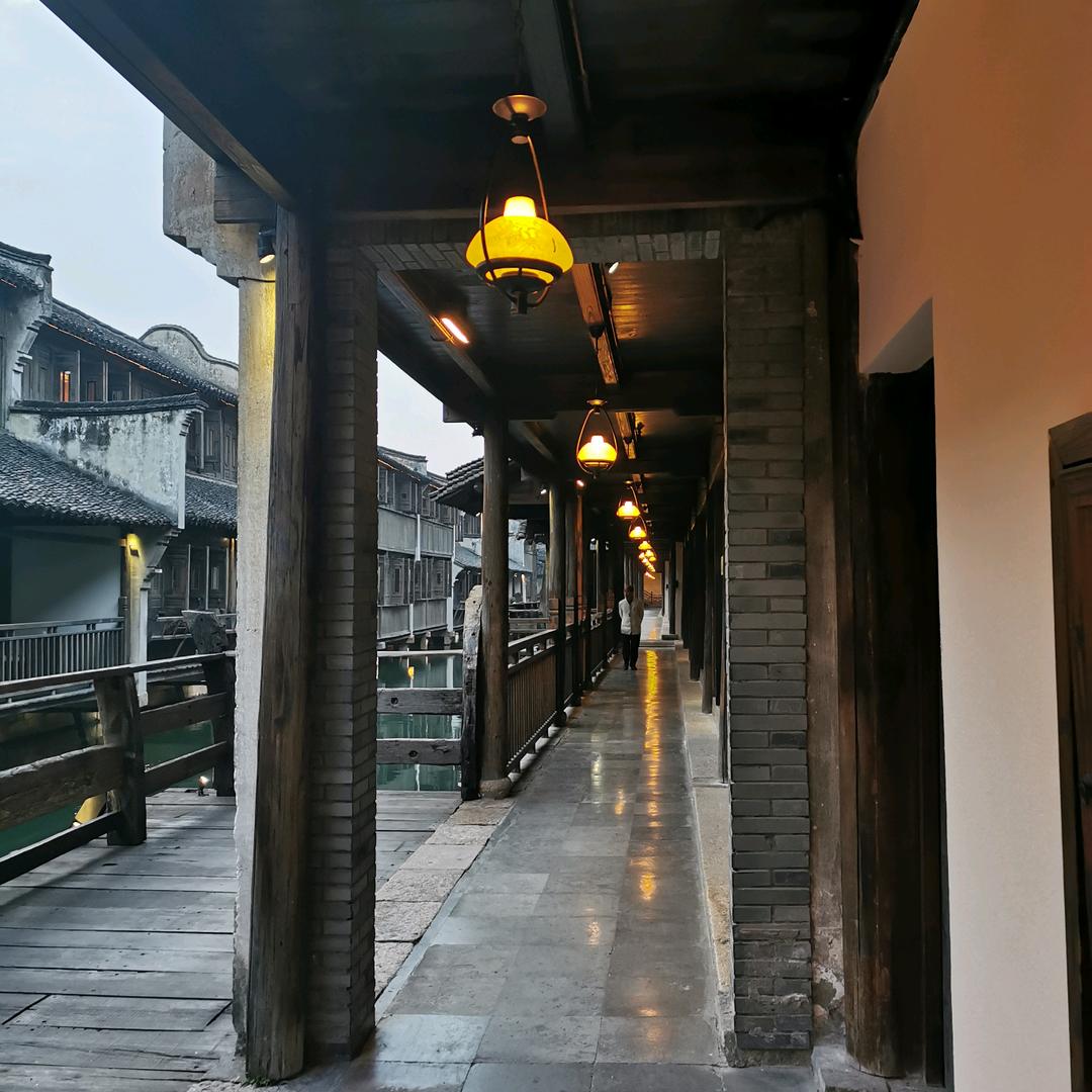 林中小鹿