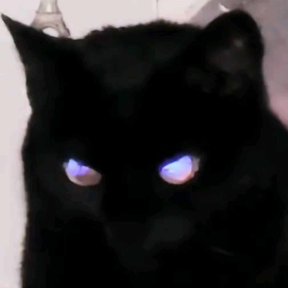 Realy ʕ•ᴥ•ʔ