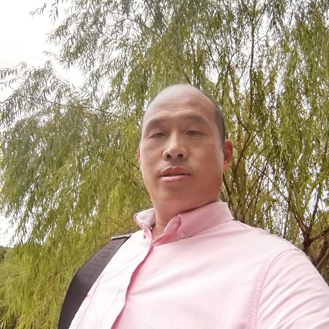 刘文清