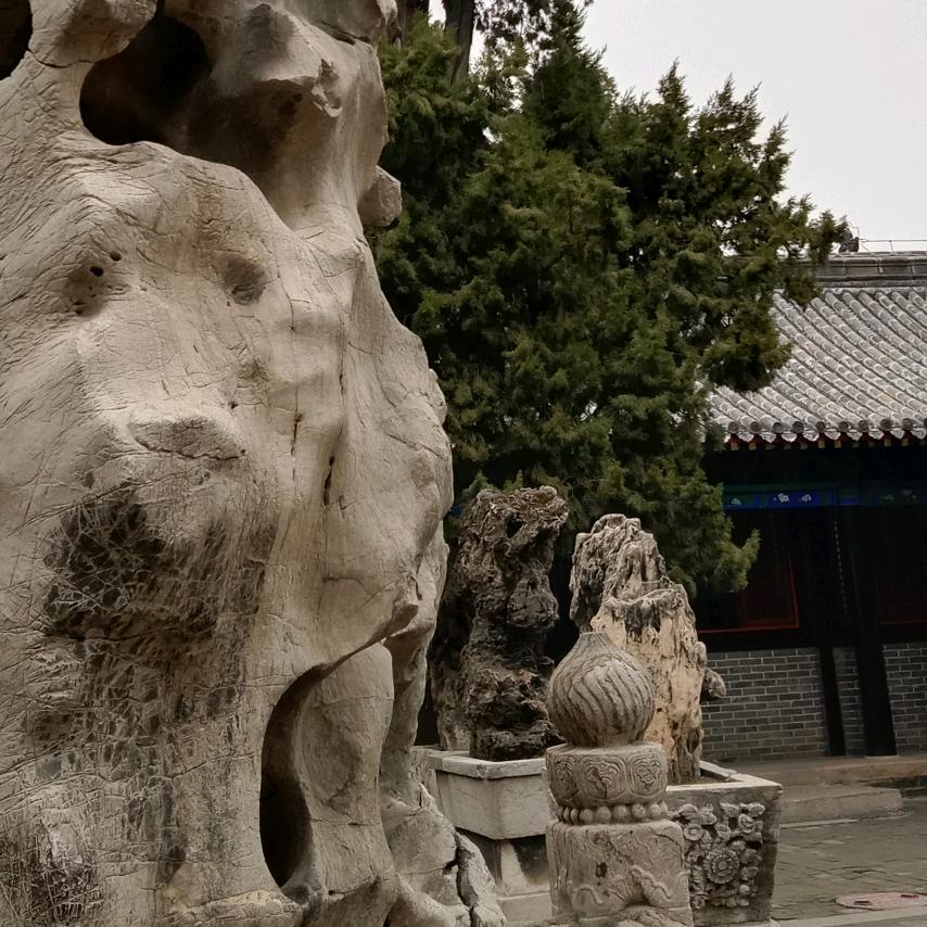 悦读