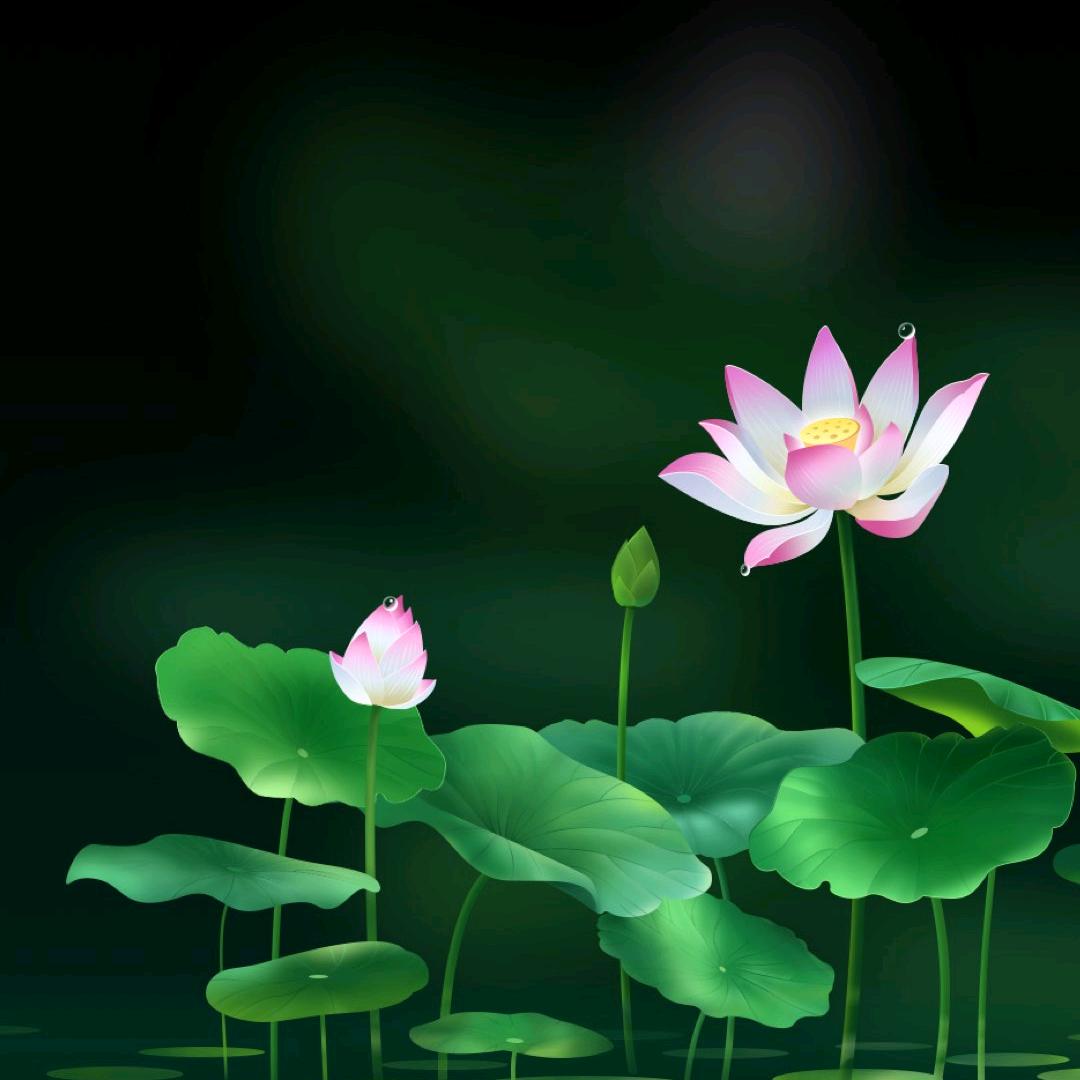 梦想蓝天
