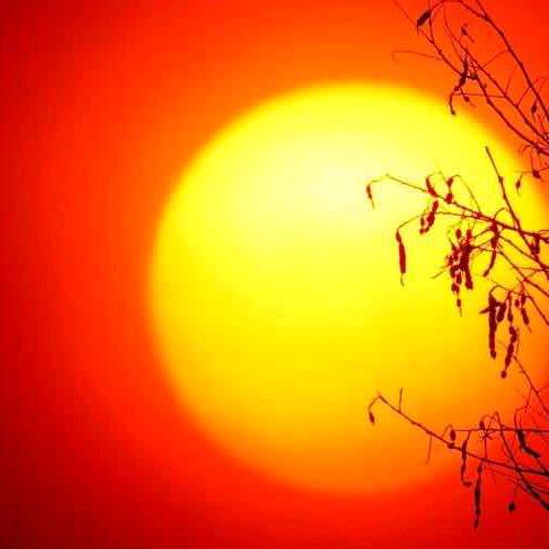 红太阳❤️