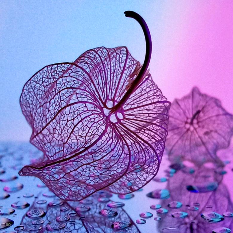 淘嘎嘣脆
