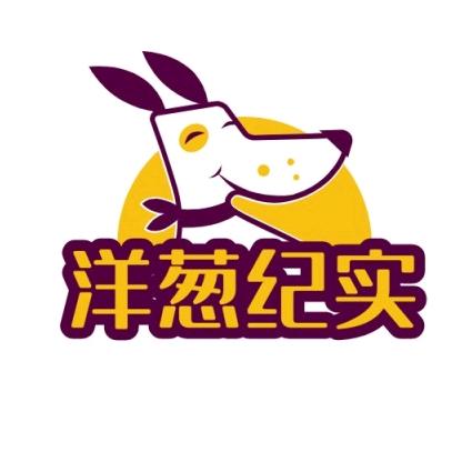 洋葱纪实