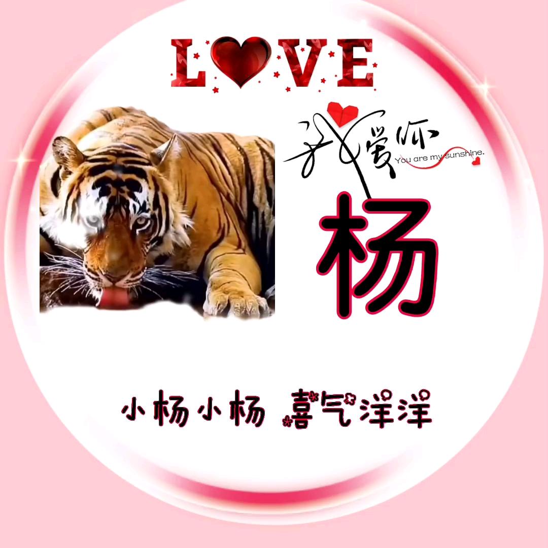 杨华