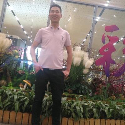 鸿鹄之志