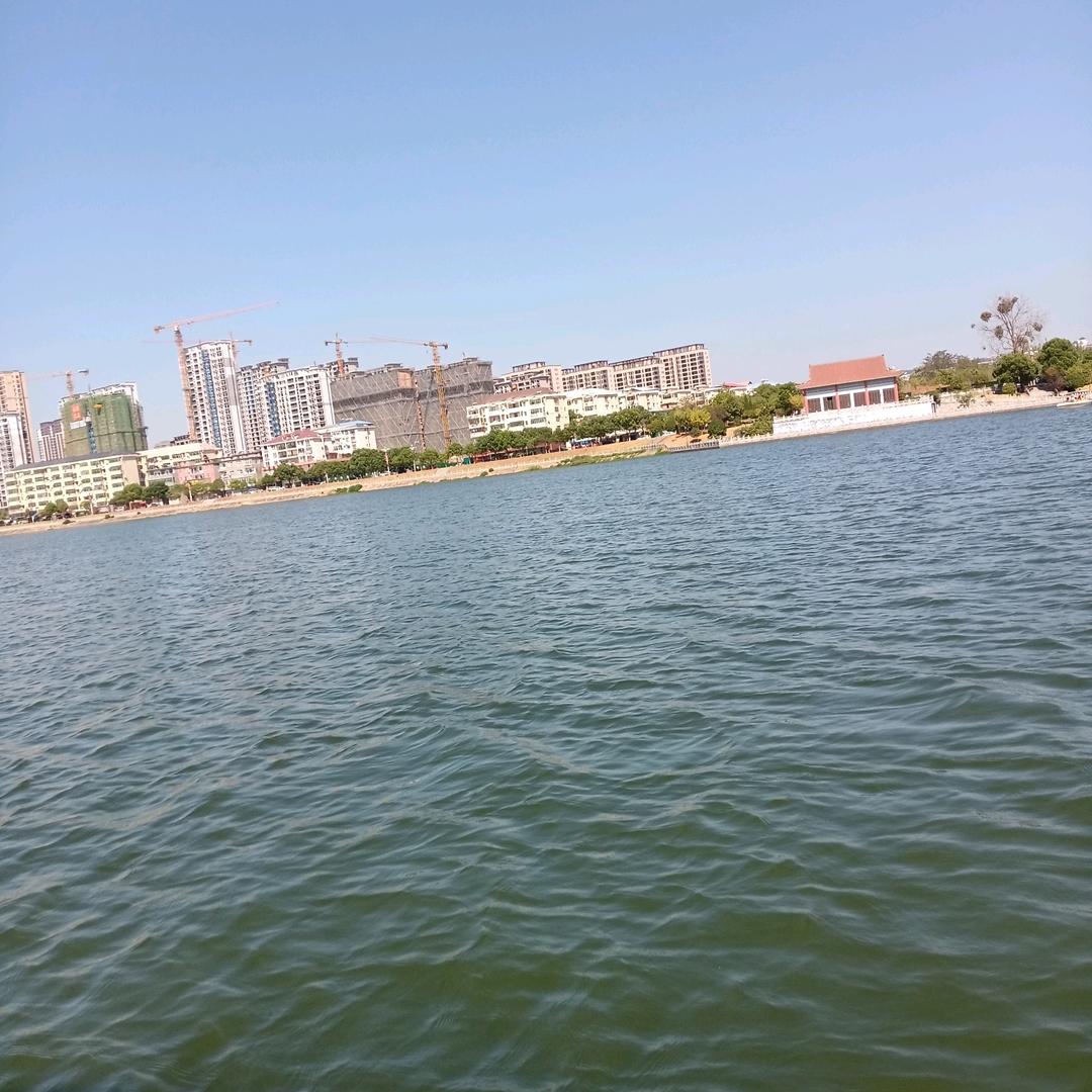 我已不年轻