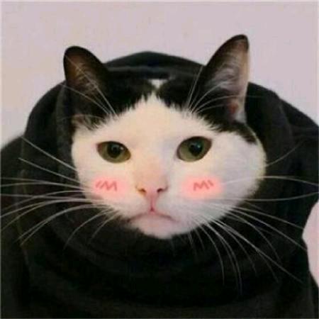 皮皮虾一起走