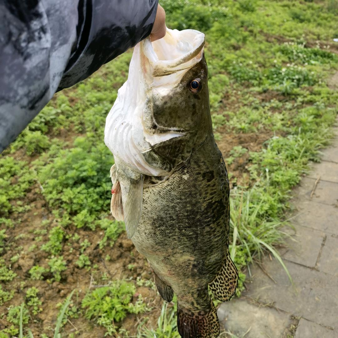 🌈两江路亚    小赵