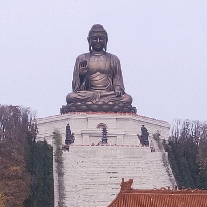 🐒拼搏