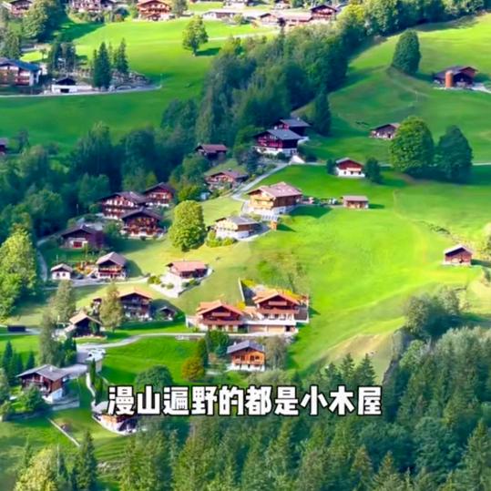 扬扬