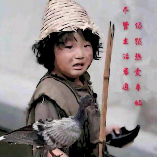 皮皮笑