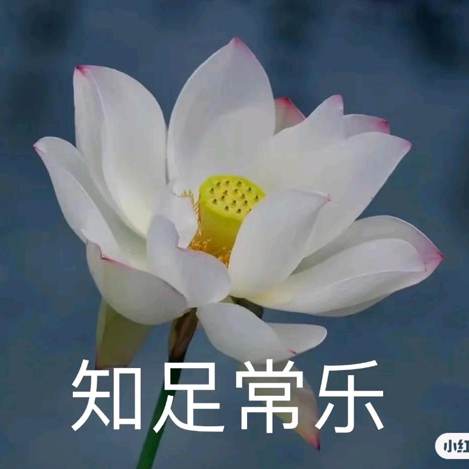吉祥如意，