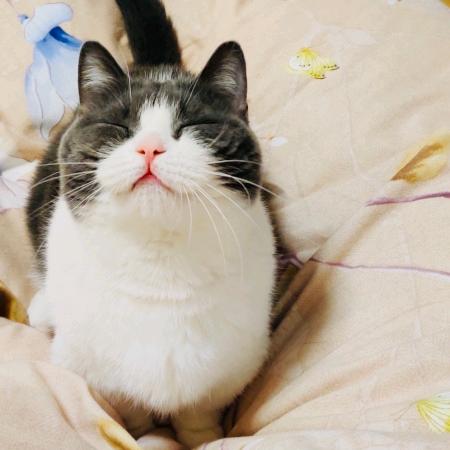 薯条