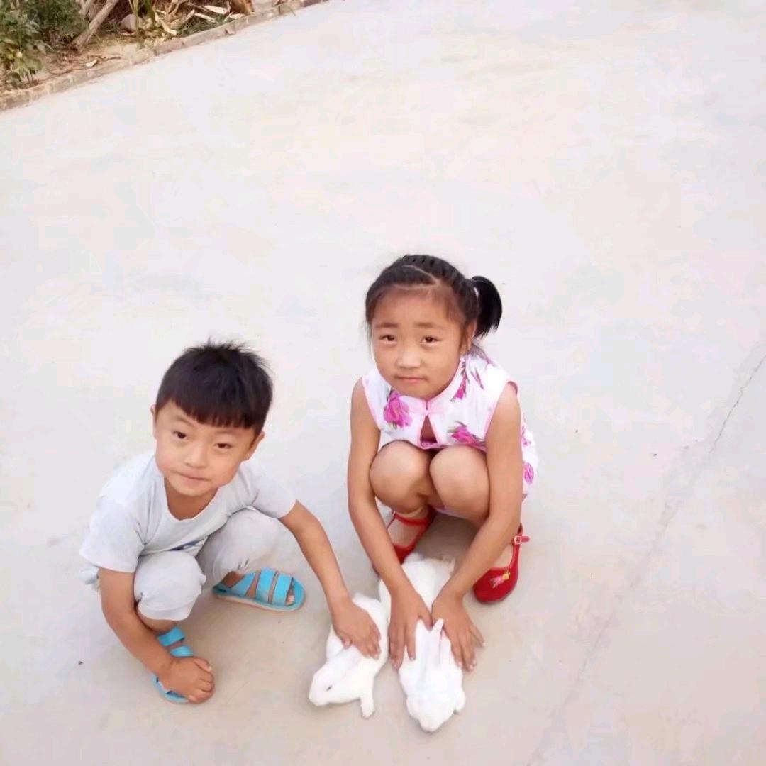 淡然( ﹡ˆoˆ﹡ )