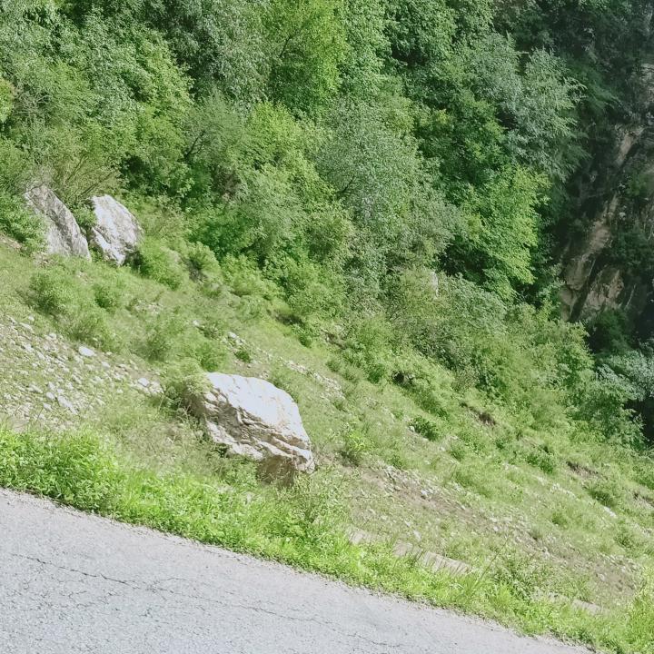 蔬菜水果采摘园