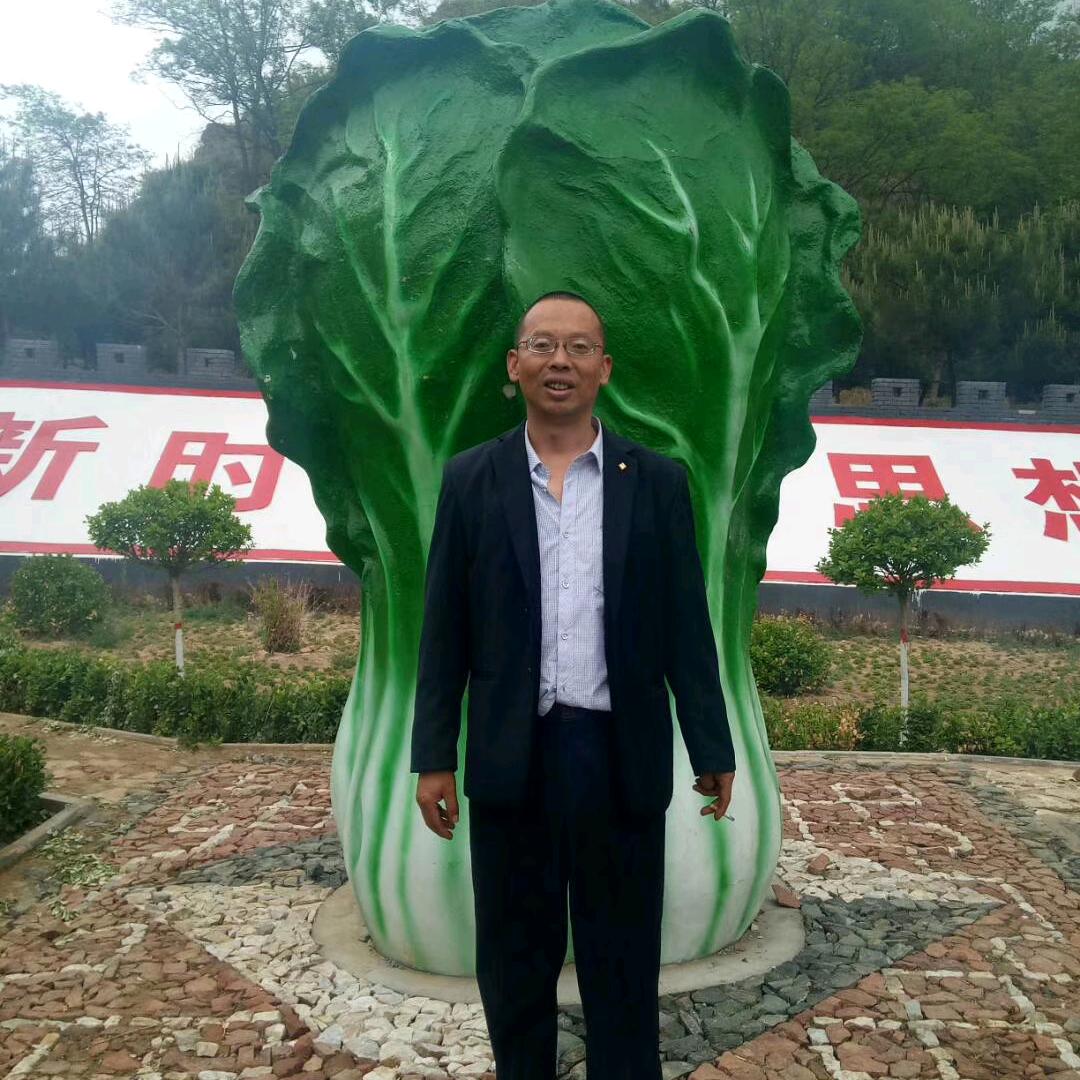 风狼