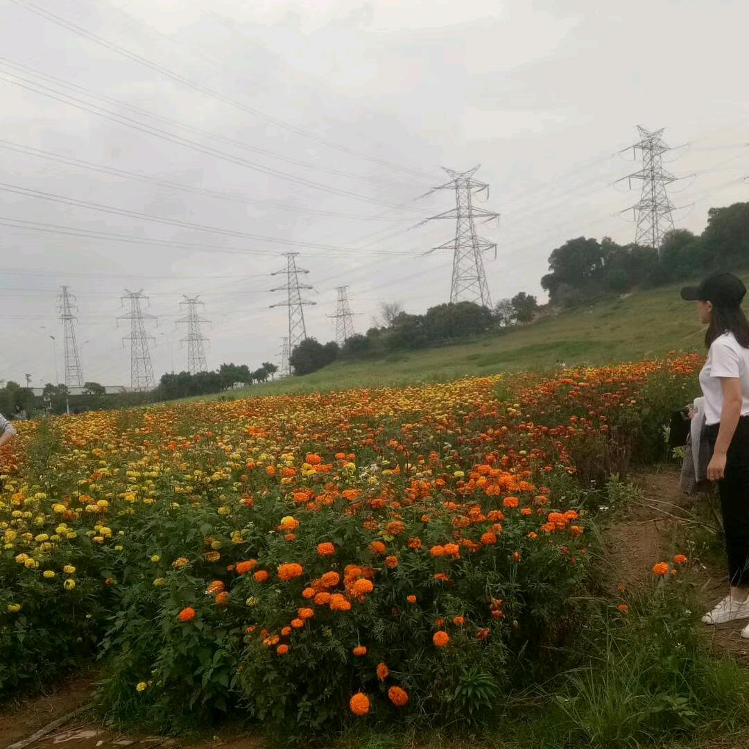 仍是如此