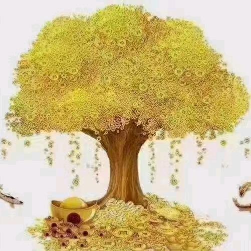 用户9501900664800小姐姐