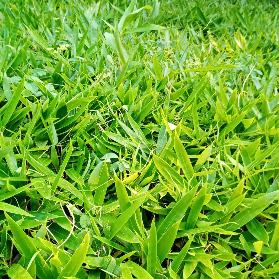 流浪汉
